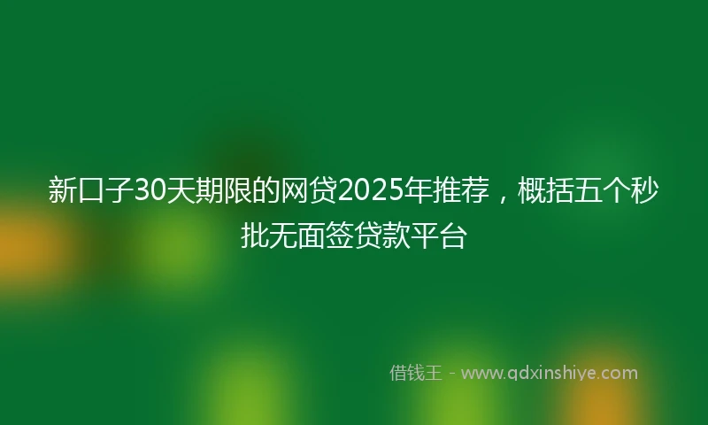 新口子30天期限的网贷2025年推荐，概括五个秒批无面签贷款平台