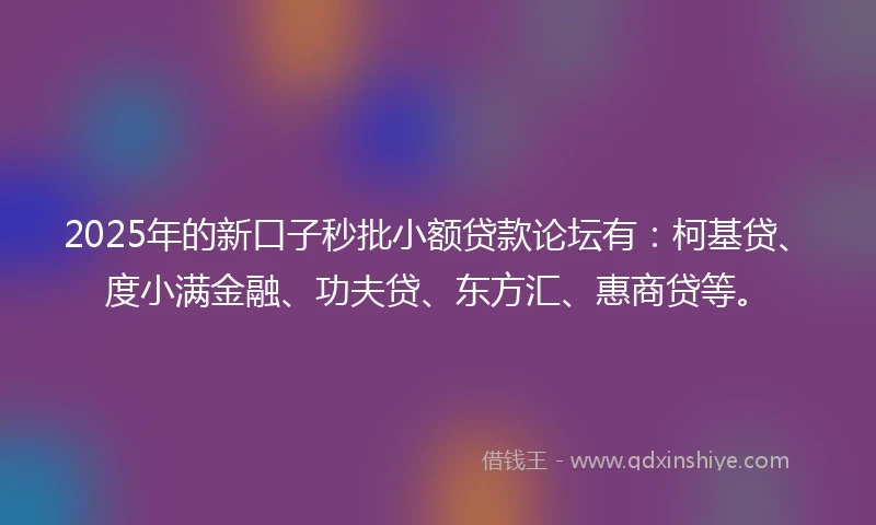 2025年的新口子秒批小额贷款论坛有：柯基贷、度小满金融、功夫贷、东方汇、惠商贷等。