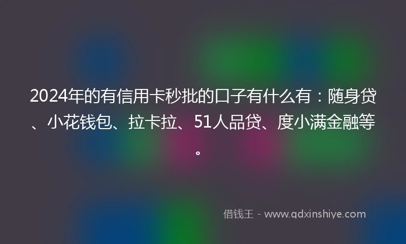 2024年的有信用卡秒批的口子有什么有：随身贷、小花钱包、拉卡拉、51人品贷、度小满金融等。