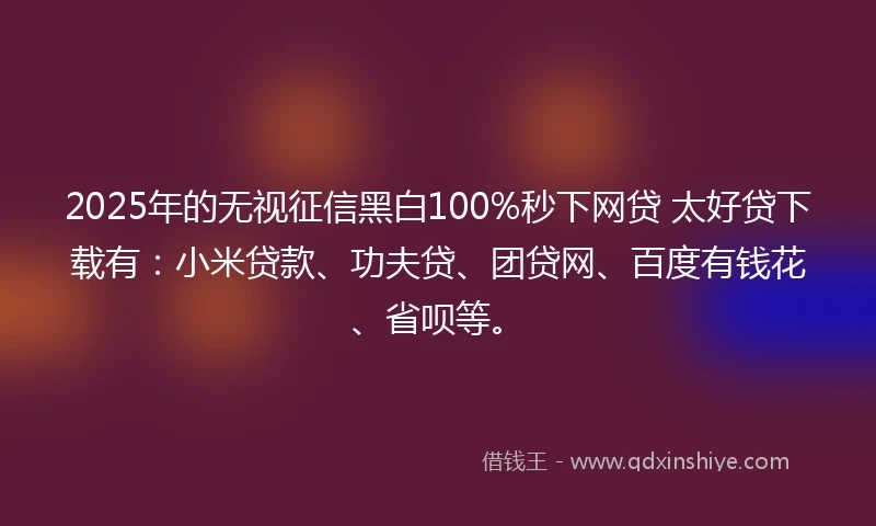 2025年的无视征信黑白100%秒下网贷 太好贷下载有：小米贷款、功夫贷、团贷网、百度有钱花、省呗等。