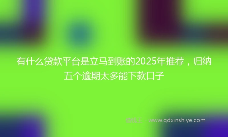 有什么贷款平台是立马到账的2025年推荐，归纳五个逾期太多能下款口子