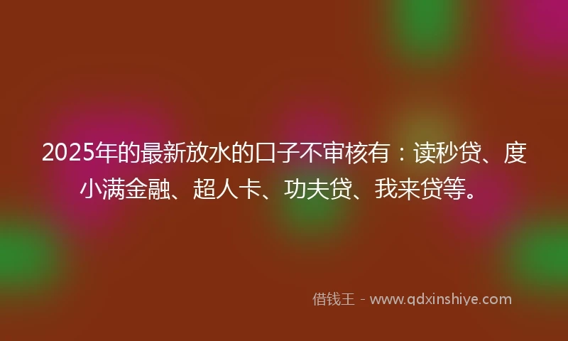 2025年的最新放水的口子不审核有：读秒贷、度小满金融、超人卡、功夫贷、我来贷等。