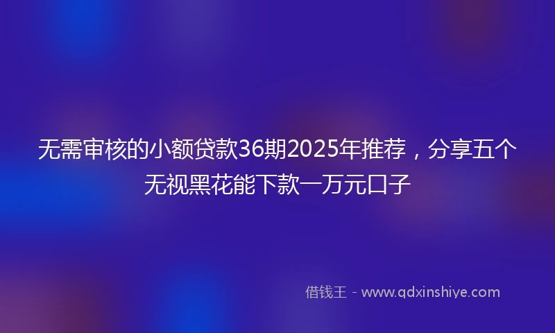 无需审核的小额贷款36期2025年推荐，分享五个无视黑花能下款一万元口子