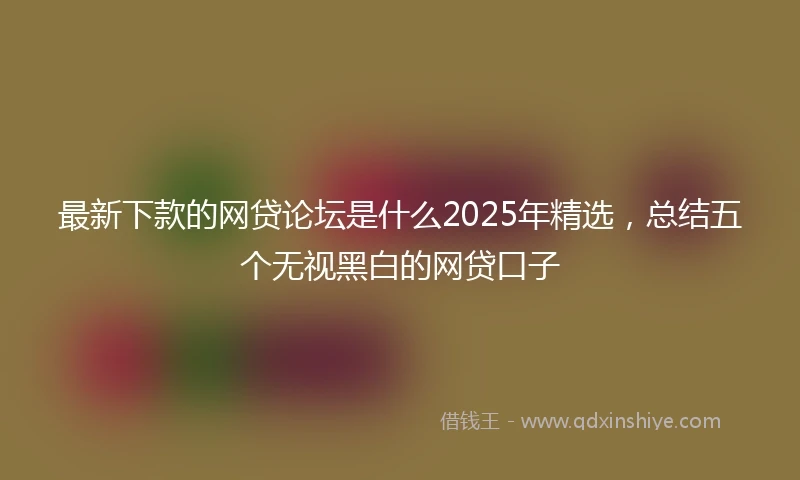 最新下款的网贷论坛是什么2025年精选，总结五个无视黑白的网贷口子