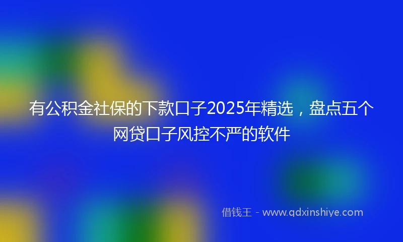 有公积金社保的下款口子2025年精选，盘点五个网贷口子风控不严的软件