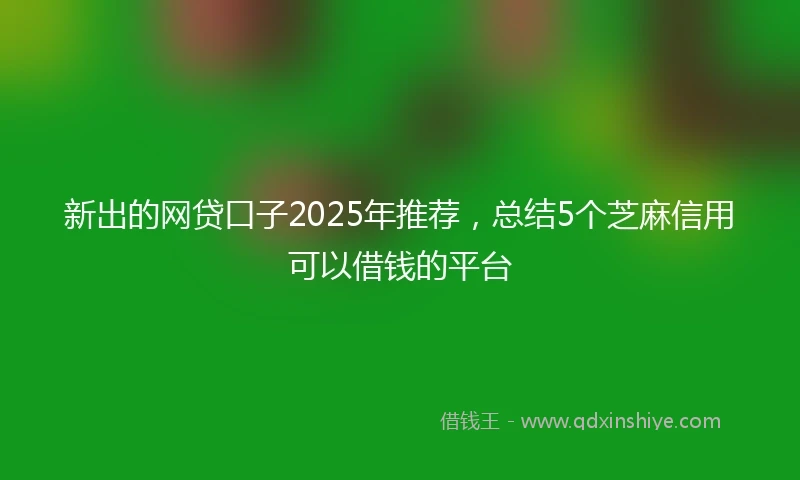 新出的网贷口子2025年推荐，总结5个芝麻信用可以借钱的平台