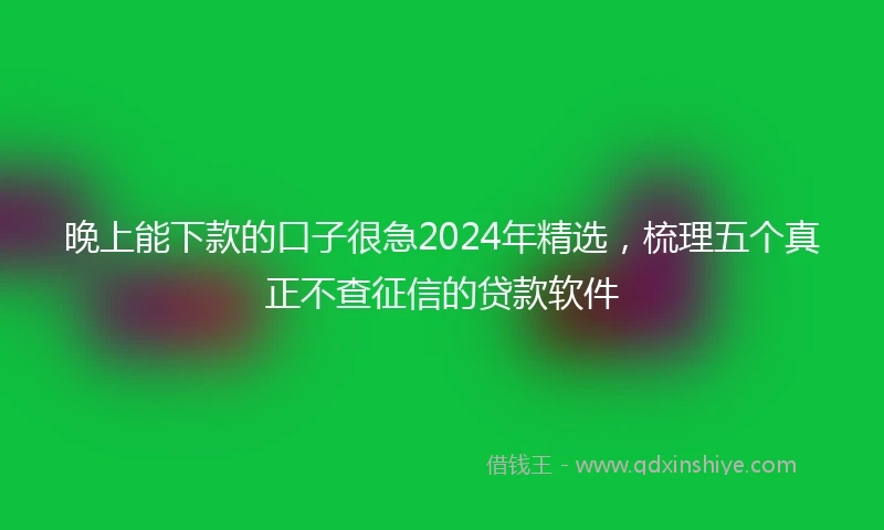 晚上能下款的口子很急2024年精选，梳理五个真正不查征信的贷款软件