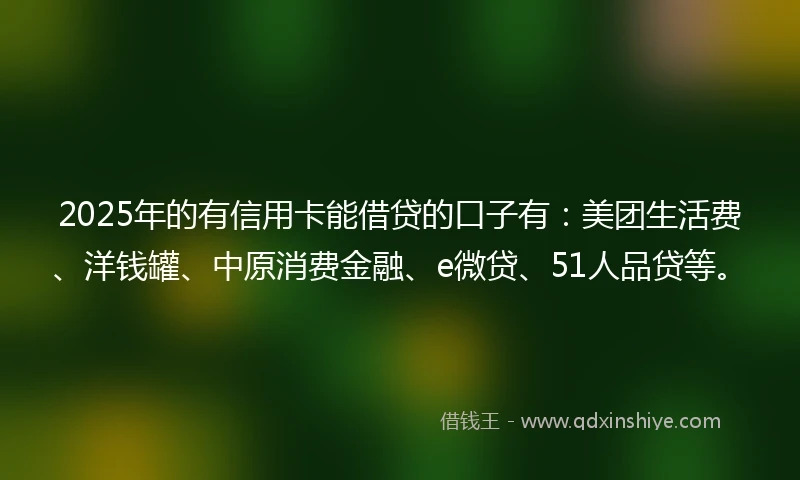 2025年的有信用卡能借贷的口子有：美团生活费、洋钱罐、中原消费金融、e微贷、51人品贷等。