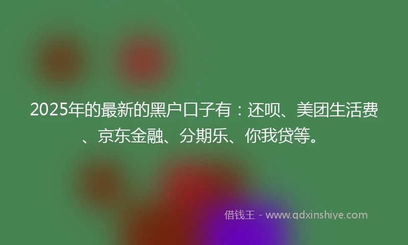 2025年的最新的黑户口子有：还呗、美团生活费、京东金融、分期乐、你我贷等。