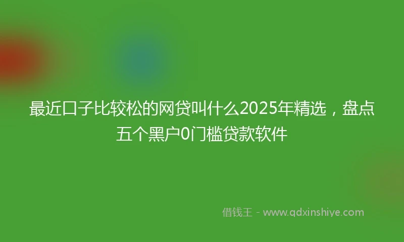 最近口子比较松的网贷叫什么2025年精选，盘点五个黑户0门槛贷款软件