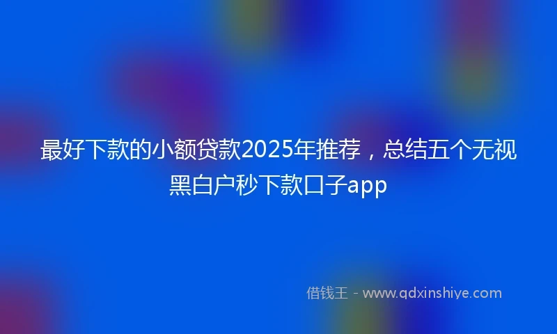 最好下款的小额贷款2025年推荐，总结五个无视黑白户秒下款口子app