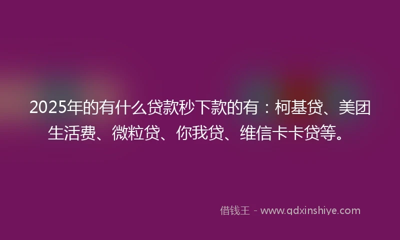 2025年的有什么贷款秒下款的有：柯基贷、美团生活费、微粒贷、你我贷、维信卡卡贷等。