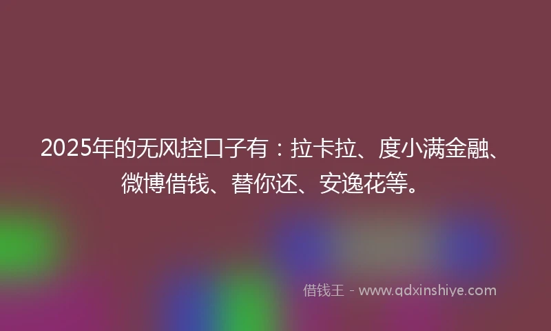 2025年的无风控口子有：拉卡拉、度小满金融、微博借钱、替你还、安逸花等。