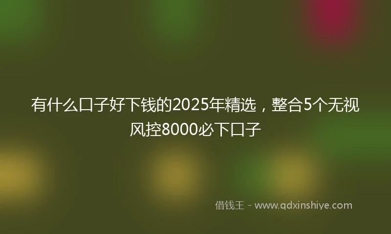 有什么口子好下钱的2025年精选，整合5个无视风控8000必下口子