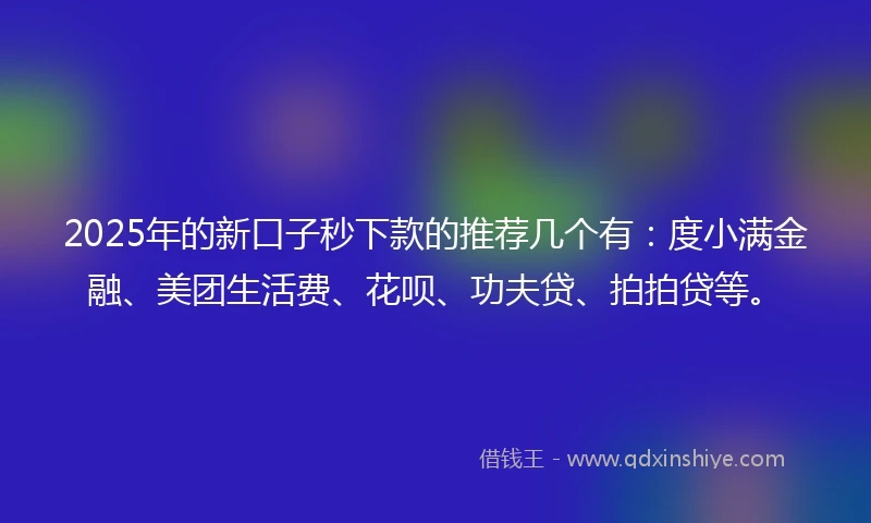 2025年的新口子秒下款的推荐几个有：度小满金融、美团生活费、花呗、功夫贷、拍拍贷等。