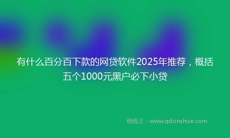 有什么百分百下款的网贷软件2025年推荐，概括五个1000元黑户必下小贷