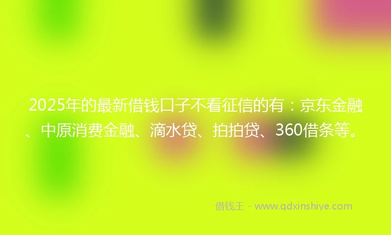 2025年的最新借钱口子不看征信的有：京东金融、中原消费金融、滴水贷、拍拍贷、360借条等。