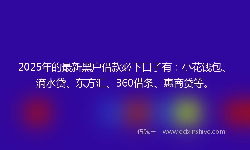 2025年的最新黑户借款必下口子有：小花钱包、滴水贷、东方汇、360借条、惠商贷等。