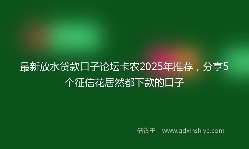 最新放水贷款口子论坛卡农2025年推荐，分享5个征信花居然都下款的口子