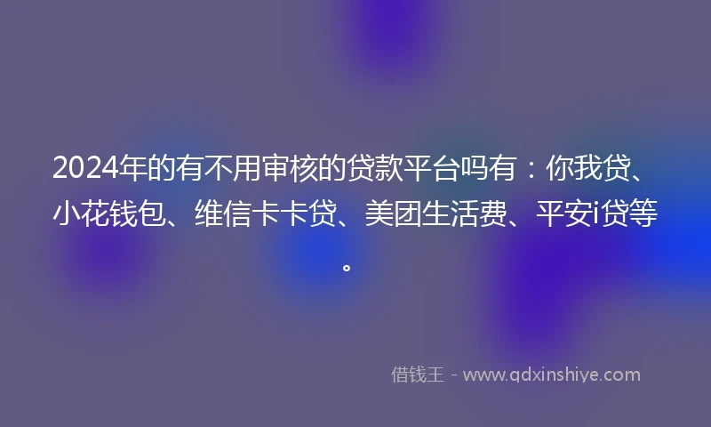 2024年的有不用审核的贷款平台吗有：你我贷、小花钱包、维信卡卡贷、美团生活费、平安i贷等。