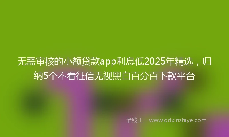 无需审核的小额贷款app利息低2025年精选，归纳5个不看征信无视黑白百分百下款平台