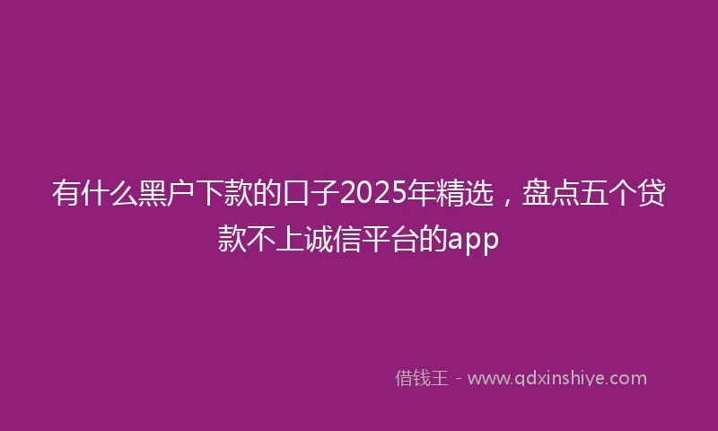 有什么黑户下款的口子2025年精选，盘点五个贷款不上诚信平台的app