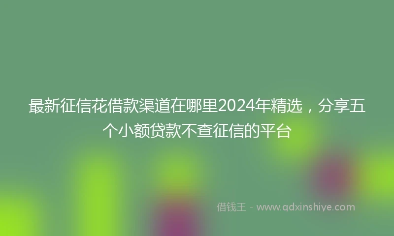 最新征信花借款渠道在哪里2024年精选，分享五个小额贷款不查征信的平台