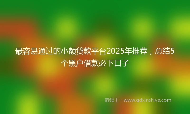 最容易通过的小额贷款平台2025年推荐，总结5个黑户借款必下口子
