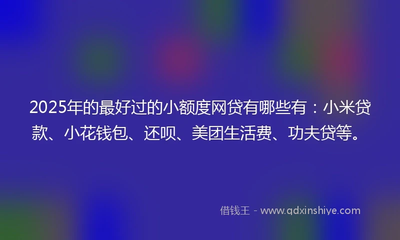 2025年的最好过的小额度网贷有哪些有：小米贷款、小花钱包、还呗、美团生活费、功夫贷等。