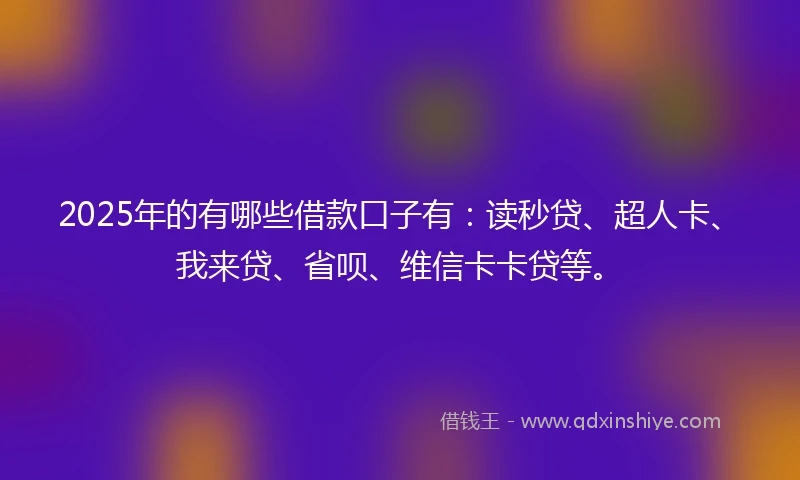 2025年的有哪些借款口子有：读秒贷、超人卡、我来贷、省呗、维信卡卡贷等。