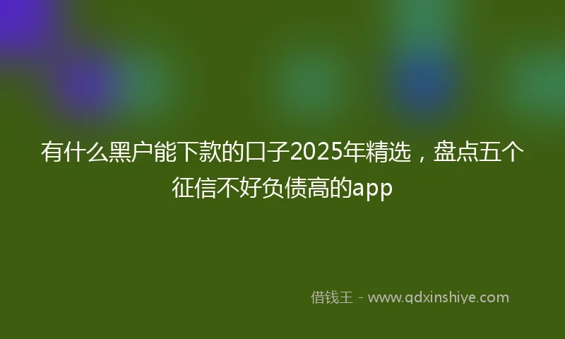 有什么黑户能下款的口子2025年精选，盘点五个征信不好负债高的app