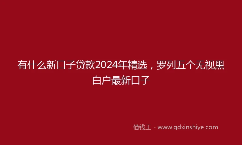 有什么新口子贷款2024年精选，罗列五个无视黑白户最新口子