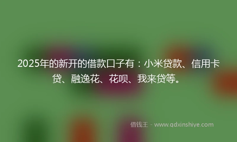 2025年的新开的借款口子有：小米贷款、信用卡贷、融逸花、花呗、我来贷等。