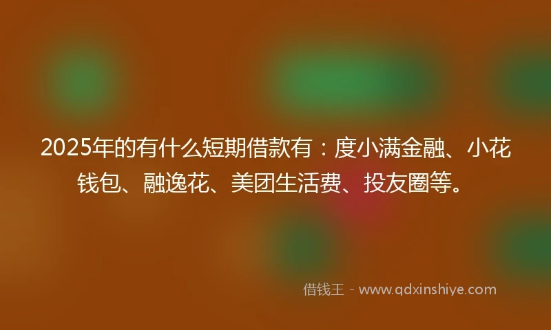 2025年的有什么短期借款有：度小满金融、小花钱包、融逸花、美团生活费、投友圈等。