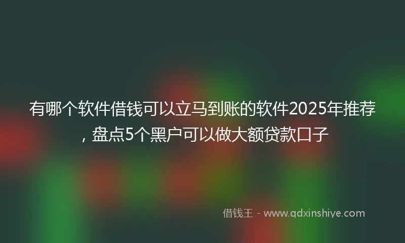 有哪个软件借钱可以立马到账的软件2025年推荐，盘点5个黑户可以做大额贷款口子