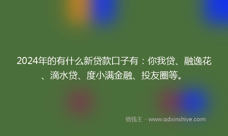 2024年的有什么新贷款口子有：你我贷、融逸花、滴水贷、度小满金融、投友圈等。