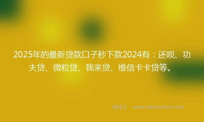 2025年的最新贷款口子秒下款2024有：还呗、功夫贷、微粒贷、我来贷、维信卡卡贷等。