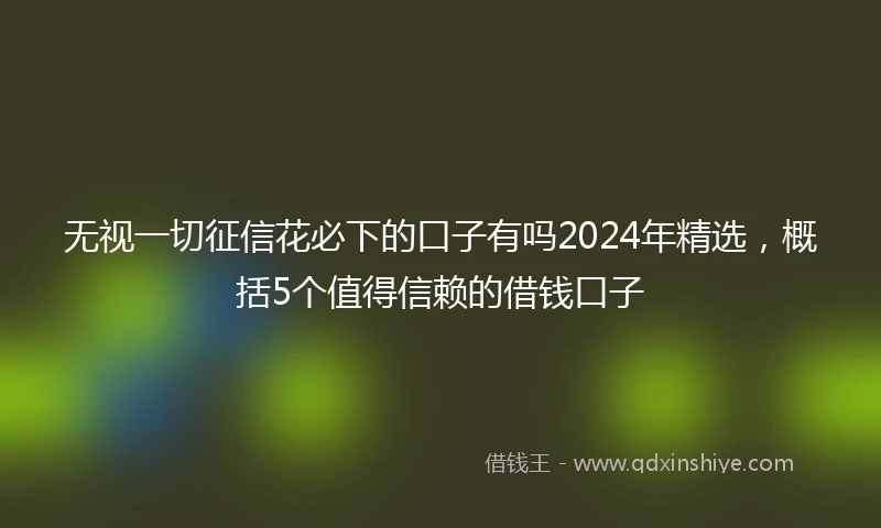 无视一切征信花必下的口子有吗2024年精选，概括5个值得信赖的借钱口子