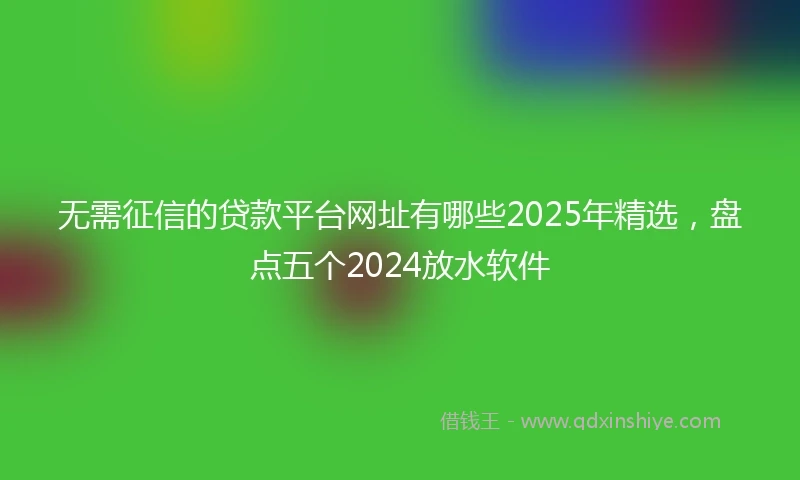 无需征信的贷款平台网址有哪些2025年精选，盘点五个2024放水软件