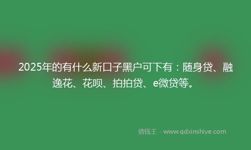 2025年的有什么新口子黑户可下有：随身贷、融逸花、花呗、拍拍贷、e微贷等。
