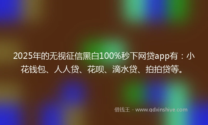 2025年的无视征信黑白100%秒下网贷app有：小花钱包、人人贷、花呗、滴水贷、拍拍贷等。