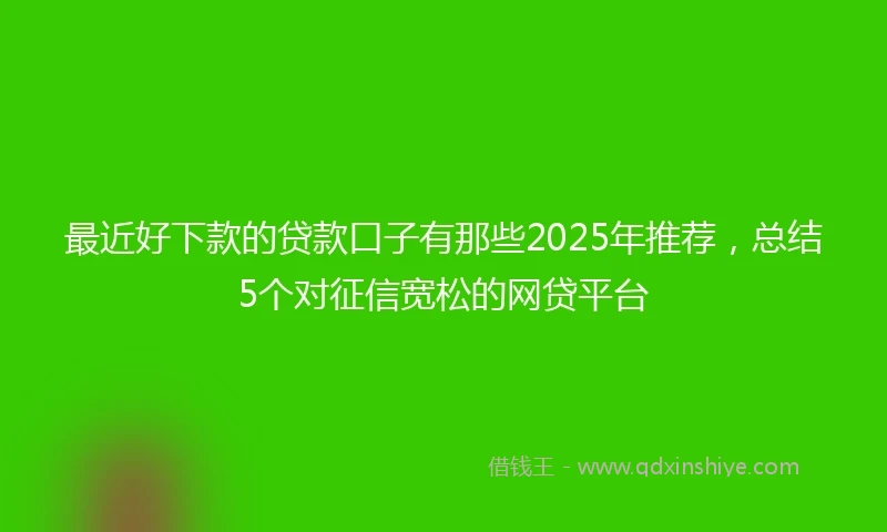 最近好下款的贷款口子有那些2025年推荐，总结5个对征信宽松的网贷平台