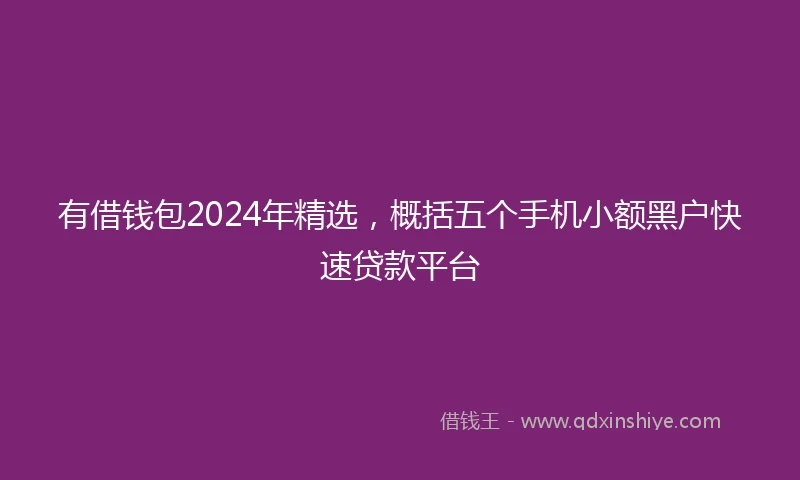 有借钱包2024年精选，概括五个手机小额黑户快速贷款平台
