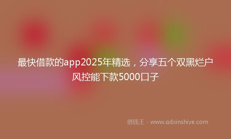 最快借款的app2025年精选，分享五个双黑烂户风控能下款5000口子