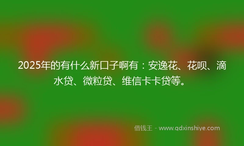 2025年的有什么新口子啊有：安逸花、花呗、滴水贷、微粒贷、维信卡卡贷等。