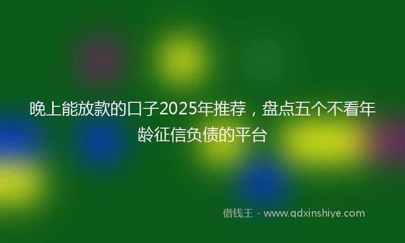 晚上能放款的口子2025年推荐，盘点五个不看年龄征信负债的平台