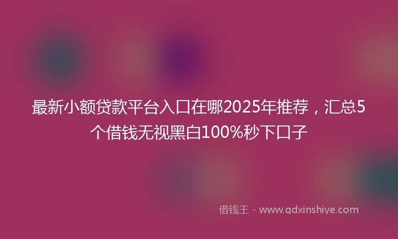 最新小额贷款平台入口在哪2025年推荐，汇总5个借钱无视黑白100%秒下口子