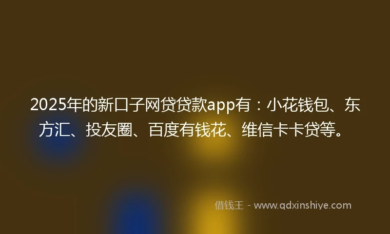 2025年的新口子网贷贷款app有：小花钱包、东方汇、投友圈、百度有钱花、维信卡卡贷等。