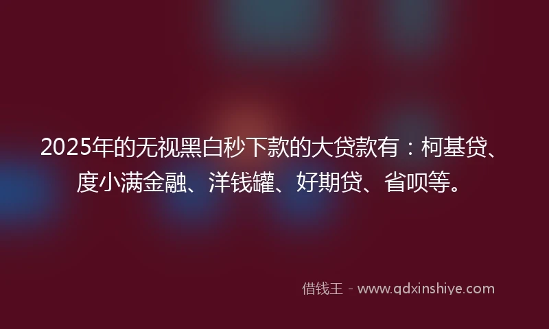 2025年的无视黑白秒下款的大贷款有：柯基贷、度小满金融、洋钱罐、好期贷、省呗等。