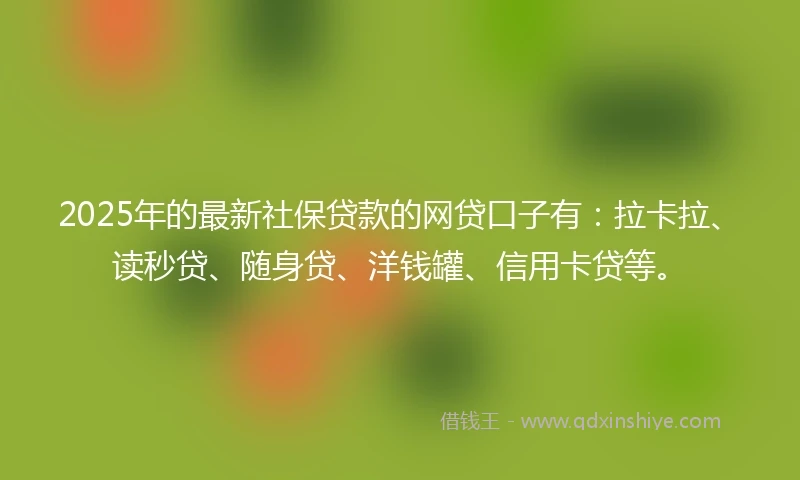 2025年的最新社保贷款的网贷口子有：拉卡拉、读秒贷、随身贷、洋钱罐、信用卡贷等。